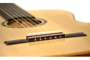 chitarra classica ortega r200