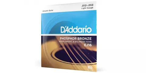 D'Addario EJ16 Set Corde Acustica EJ Phosphor BRZ RND WND