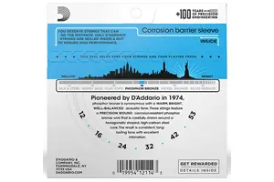 D'Addario EJ16 Set Corde Acustica EJ Phosphor BRZ RND WND