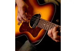 pickup chitarra acustica seympur duncan